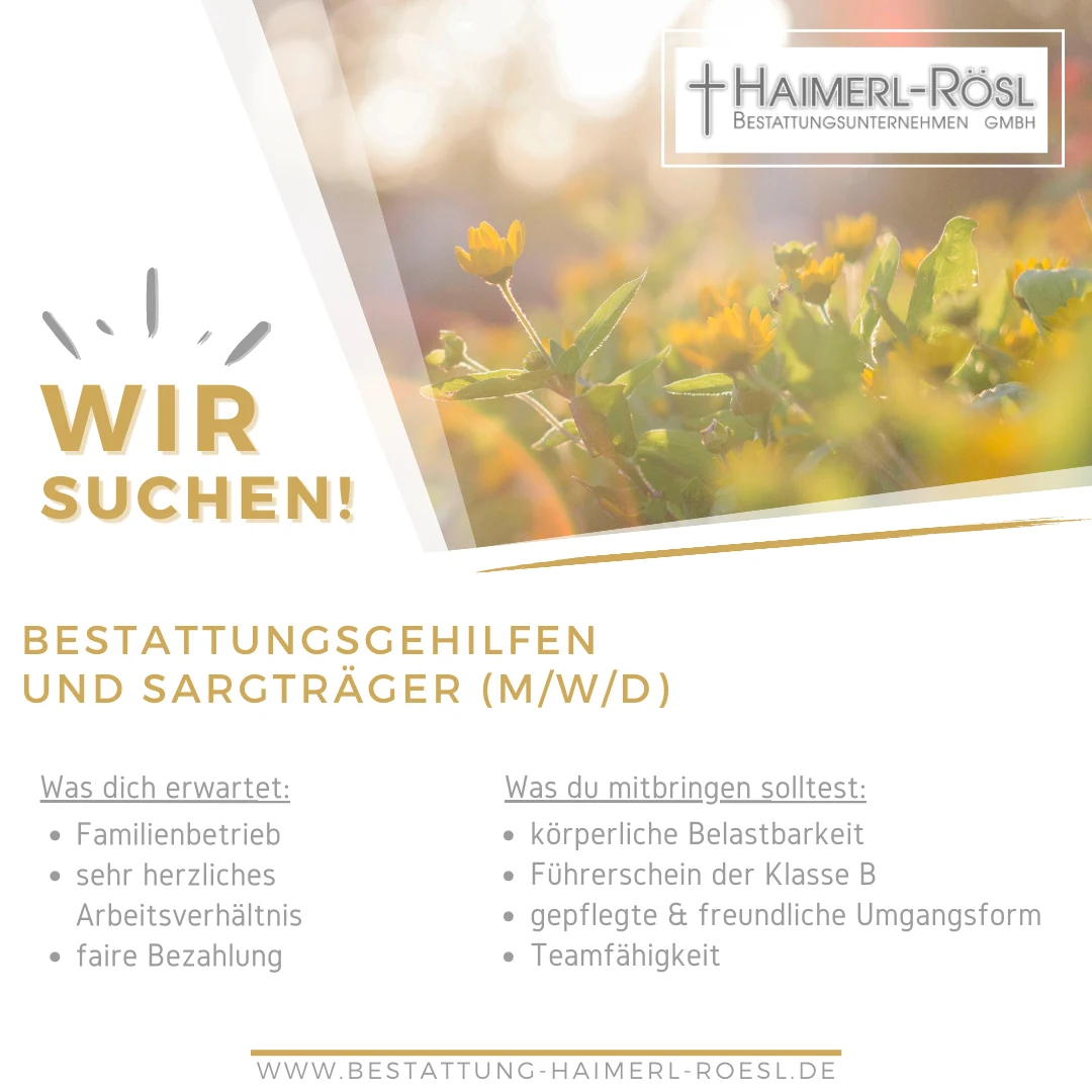 Recruiting-Anzeige für eine offene Stelle, wie sie bei Facebook und Instagram ausgespielt wird